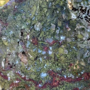 Maury Mountain Moss Agate Slab – Beautiful Green and Red Patterns from Oregon - Picture 1 of 4