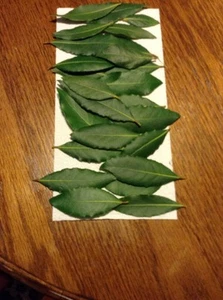 Bay Leaf, Organic Whole Fresh Picked Leaves, Bay Laurus Tree, 1/2 OZ., Free Ship - Picture 1 of 4