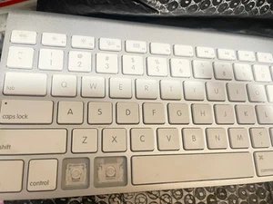 Apple A1314 Wireless Keyboard White - No Tested(T1) - Picture 1 of 8