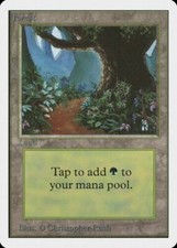 Forest (B) Unlimited Moderate Play MTG Magic DNA GAMES