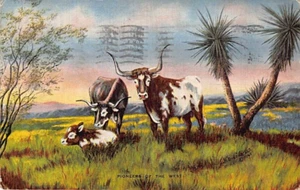 Postal: Pioneros del Oeste, ganado, de pintura del artista Dude Larsen, 1946 - Imagen 1 de 2