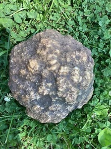 16 Lb + Indiana Geode  Crystals , minerals,fossil   Intact Jewelry Lapidary - Picture 1 of 4