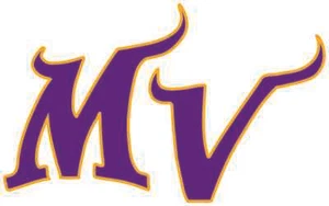 MINNESOTA VIKINGS Vinyl Decal / Sticker ** 5 Sizes **  - Picture 1 of 1