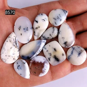 11 Pc 186Ct Natural Dendrite Agate cabochon Gemstone Lot 33x19 26x12 mm #R-8570 - Picture 1 of 4