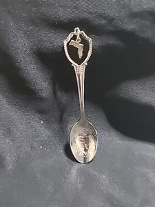 Cuchara de recuerdo plateada del estado de Florida - Imagen 1 de 5