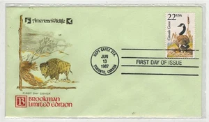 SCARCE BROOKMAN FARNAM VARIETY ON GREEN ENVELOPE AMERICAN WILDLIFE CANADA GOOSE - Picture 1 of 1