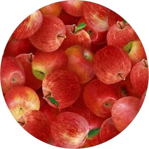 Stylish Daily Use Apples Trivets Kitchen And Dining Decorative - Picture 1 of 4