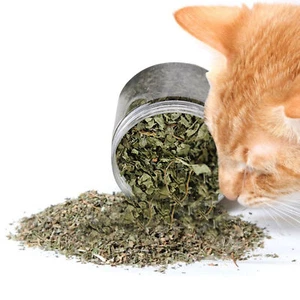 40g Cat Catnip Organic Dried Ground Catnip Crafted Fresh Cats Kitten Catnip - Picture 1 of 9