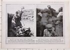 1915 WWI WW1 Imprimé ~ Irlandais Troupes Teasing Turc Sniper Gallipolli~ -clé
