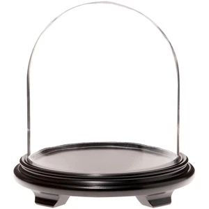 Plymor 11,75" x 12" Glas Display Kuppel Cloche (schwarz Holzfurnier Fuß Basis) - Bild 1 von 1