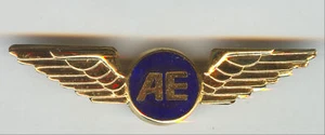 Air Europe Defunct Italian Airlines Crew Pilot Wings - Picture 1 of 2