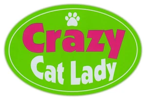 Oval Car Magnet - Crazy Cat Lady - I Love Cats - Bumper Sticker Decal - Picture 1 of 1