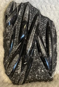 Polished Orthoceras Fossil Plaque extinct nautiloid cephalopods Vintage Rare - Picture 1 of 11