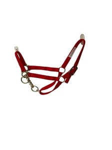Yearling, Calf Halter Double Ply Hand Made Brass Chain Adjustment - Imagen 1 de 4