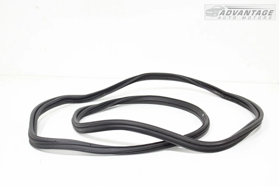 Cadillac CT6 2016-2020 tapa trasera maletero sello goma OEM Foto 1 de 3