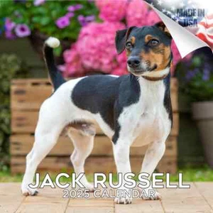 Jack Russell Wandkalender 2025 Tier HUND HAUSTIER Liebhaber Geschenk Rasse - Bild 1 von 2