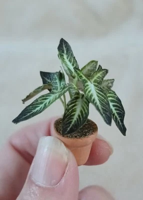 MINIATURE HOUSEPLANT FOR DOLLHOUSE - Image 1 of 2