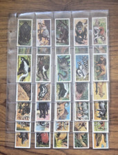BROOKE BOND (TEA)-FULL SET- AFRICAN WILD LIFE 1962 (50 CARDS) . Free UK Postage
