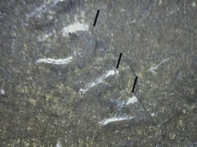 1917 年林肯 WHEAT CENT DDO-001 FS-101 状况极佳 GGF — 第 1/4 张图片