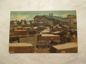 Hauling Cotton to Market Horse and wagon Postcard  - Picture 1 of 2