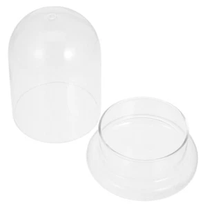Bell Jar Cloche Dome Glass Plants Terrarium Glass Dome Succulent Terrarium Table - Picture 1 of 12