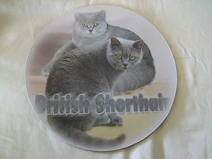 Tapis de souris - MOTIF - CHAT BRITISH SHORTHAIR - Imagen 1 de 1
