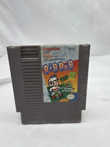 Dig Dug 2: Trouble in Paradise Nintendo NES Bandai getestet - Bild 1 von 5