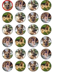 24 X PASTORE TEDESCO ALSAZIANO NOVITÀ WAFER / TAZZA DI CARTA DI RISO CAKE TOPPERS - Foto 1 di 1