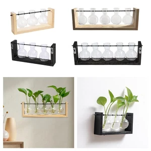 Hydroponic Vase Glass Planter Wall Mounted Mountable Terrarium for Bathroom - Picture 1 of 26