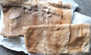 Rare Natural Blonde Real GOAT FUR Luxury Lumbar Pillow Covers, Lined - SET OF 2 - Picture 1 of 8
