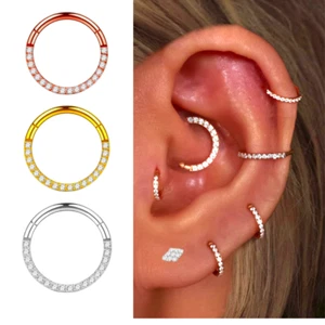 Piercing Titan Segment Ring Nasenpiercing Septum Clicker Ohrpiercing Nasenring - Bild 1 von 13