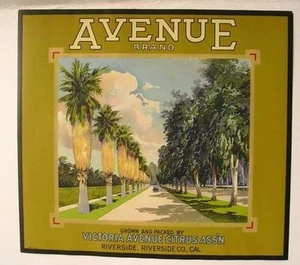 Authentic 1930s Avenue Brand w/ Palm Trees Fruit Crate Label - Picture 1 of 1