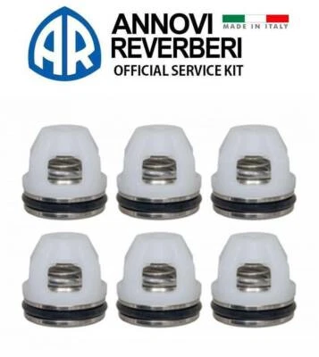 Annovi Reverberi AR42666 Check Valves for RSV Pressure Washer Pumps AR42302
