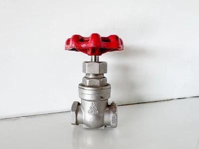 1/2" FNW Stainless Gate Valve, 200 PSI, CF8M 132 (EL17) - Image 1 of 4