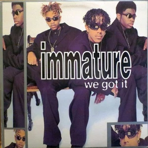 Immature - We Got It (LP) (Mint (M)) - 3687692212 - Picture 1 of 4