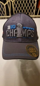 Ohio State Buckeyes Top of the World 2020 Big-10 Champion adjustable hat - Picture 1 of 6
