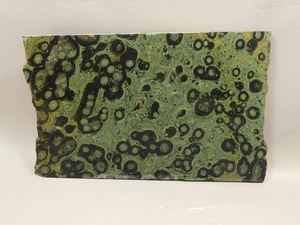 Kabamba Jasper Unpolished Stone Slab Kambaba Rough Rock #O3 - Picture 1 of 7
