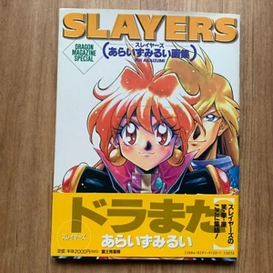 Slayers Rui Aramizu Color Illustration Book Dragon Magazine Special 1996 Pinup - Picture 1 of 24