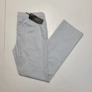 New $410 Strenesse Women's Size 10 Pants Fancy Pinstripe COTTON Blend 36x32 - Picture 1 of 7