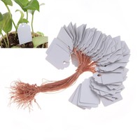 100Pcs/lot Waterproof Plastic Strip Line Plants Labels Signs Plant Hanging Tags 