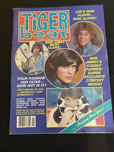 JAN 1980 TIGER BEAT magazine  PETER BARTON LEIF GARRETT SHAUN CASSIDY ROB LOWE