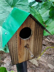Schönes handgefertigtes Vogelhaus 9 Zoll hoch Kiefer gebrannt mit grünem Blechdach - Bild 1 von 6