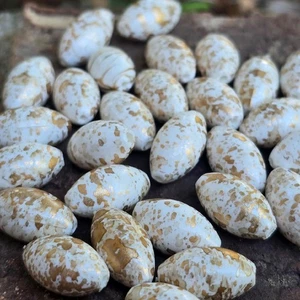 30 Vintage 1980's German 16mm Oval White & Gold Speckled Finish Plastic Beads - Picture 1 of 5