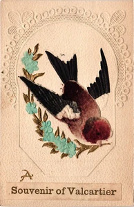 BIRD Fabric Embossed SOUVENIRE OF VALCARTIER Vintage Postcard - Picture 1 of 2
