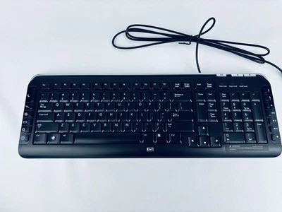 HP SK-2960 Multimedia Keyboard Black Silver Wired for Desktop With Feet - New - Image 1 of 4