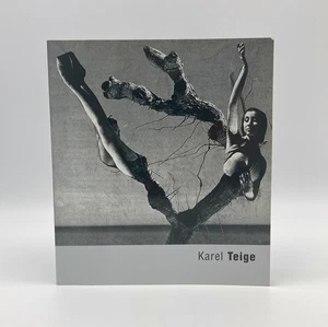 Karel Teige by Karel Srp - Torst, 2001. Czech Avant Garde. Photo Collage - Foto 1 di 1