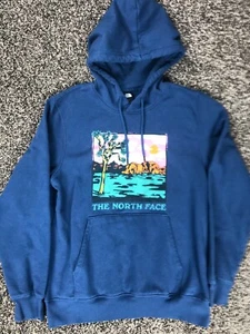Mens Medium North Face Graphic Injection Print Blue Hoodie - Picture 1 of 9