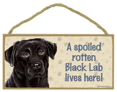 A Spoiled Rotten Black Lab lives here! Cute Dog Sign 5"x10" NEW Wood Plaque 193 - Image 1 of 3