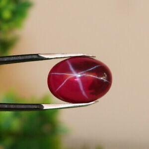 Natural 6 Rays Red Star Ruby Oval Cabochon 10.00 Ct Loose Gemstone