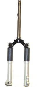 FORCELLA COMPLETA PIAGGIO ORIGINALE PER LIBERTY 50/125 PTT/NEXIVE - Foto 1 di 2